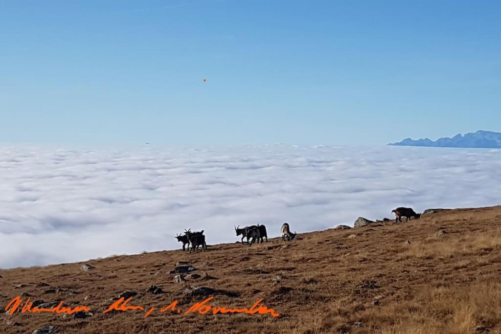 Dolomiten View - South Tyrol Villanders Exterior foto